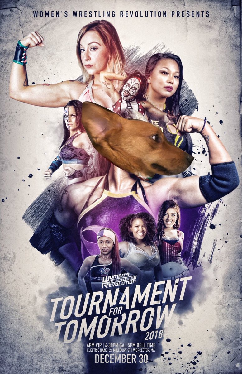 MagnumAGB's tweet photo. Come see @WWRProWrestling or watch @PowerbombTV ...check out my 💪 it’s #GoodForDogs #WrestleDog https://t.co/yvG3Wpv3O8