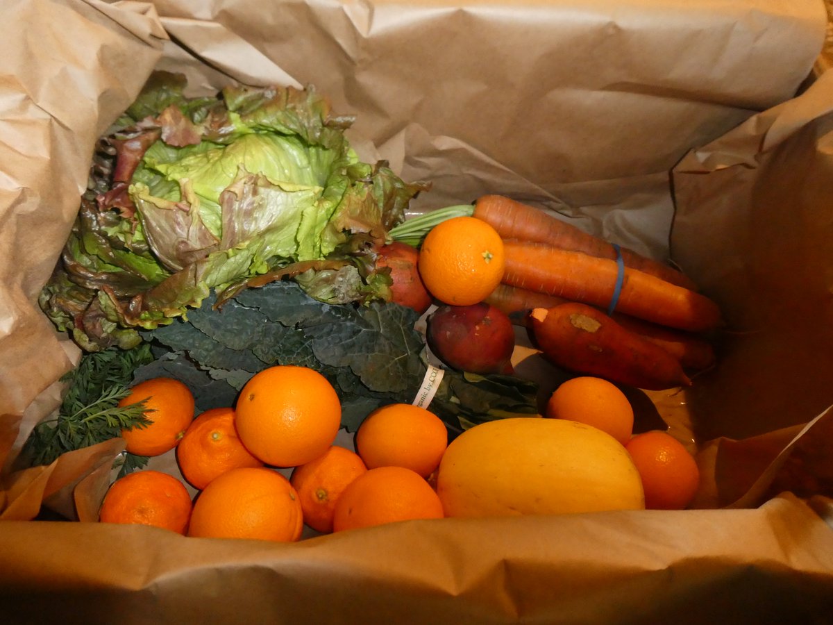 firegirl400's tweet photo. When my #Ooooby box arrives, it is like opening a present, discovering the wonderful fruits and vegetables that I will be feasting on for the next week or so. This week's @SNOnews Blog includes my farm tour where I saw what goes into creating my box: https://t.co/JarLG1H16A https://t.co/Z1aP30W73H