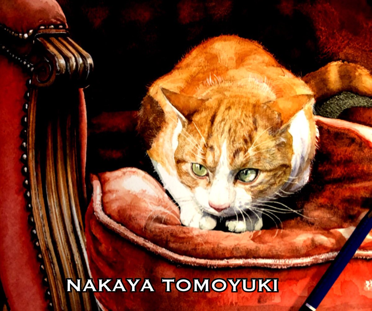 no humans cat animal focus green eyes animal chair looking at viewer general  illustration images