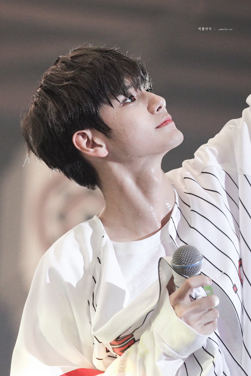 여름아이 tweet media