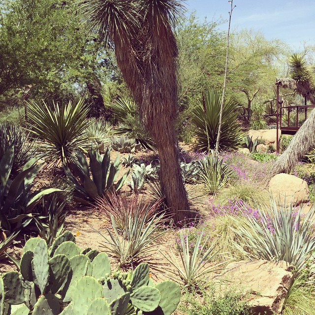 HydrotherapyAZ's tweet photo. We are 100% organic &amp; completely natural! https://t.co/z48j4bqqOs