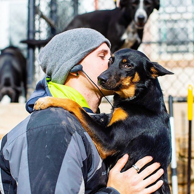 PetVetOnPatton's tweet photo. Ever get the feeling someone’s talking about you? 🙉
#gossipdog #dogsofourlives
🐶👨🦲: Wisp & Jarid
.
.
.
.
.
#petvetonpatton #fotobycoco #asheville #ashevilledog #doggiedaycare #dogsbeingbasic #dogoftheday #livecolorfully #pupstagram #dailybarker #dogscorner #ruffpost #mydogi… https://t.co/qIo4xzd4LE