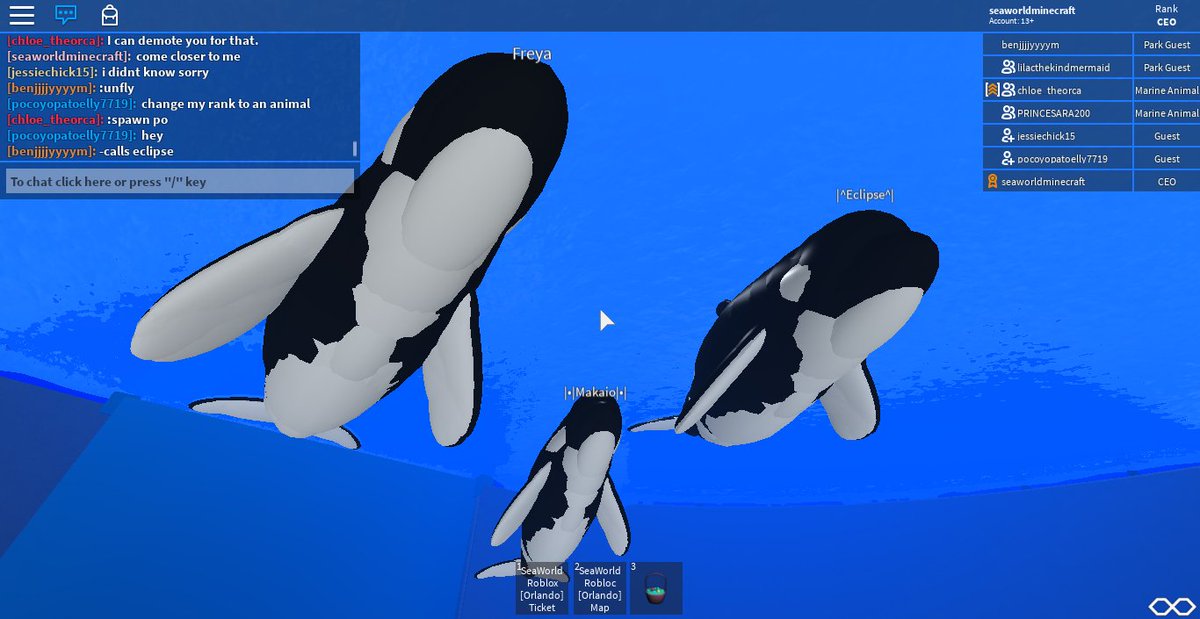 Dolphin Roblox Weebly