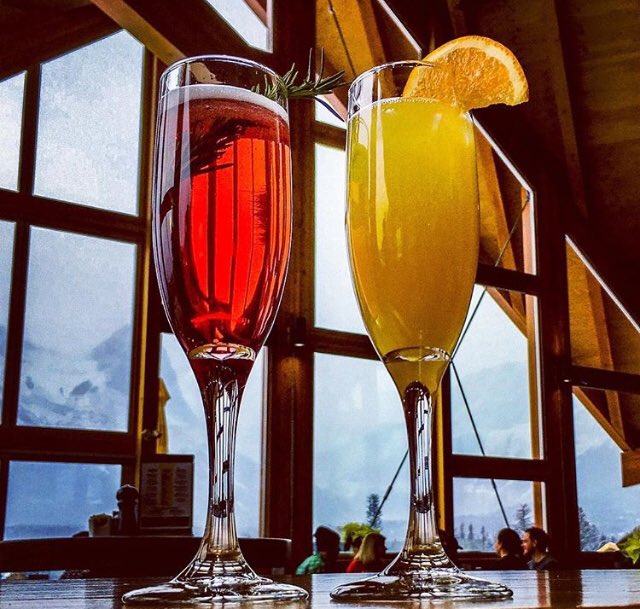 TheGrizzlyPaw's tweet photo. Have you enjoyed #brunch at #Canmores #bestnewrestaurant ? Pop into #tank310 from 10am-1pm today and enjoy our weekly creative beer-mimosas, &amp; a wide variety of delicious food! See you at 310 Old Canmore Road (located inside our brewery!) https://t.co/IGxMpqZSbK