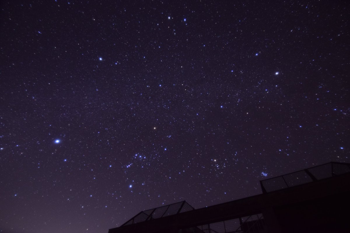 ノザマ@お星さまのお友達 tweet media