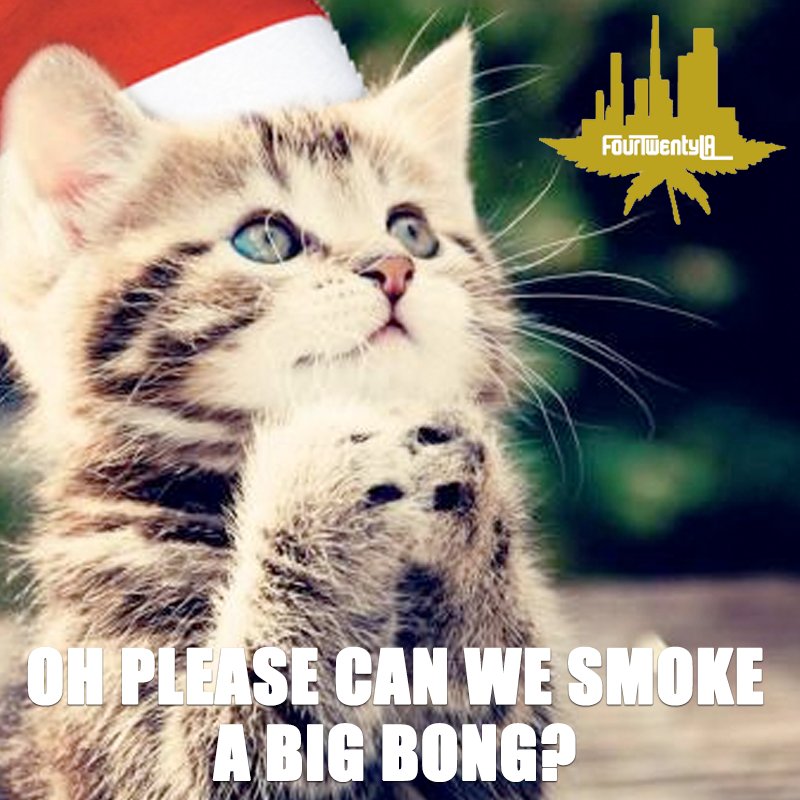 fourtwenty_la's tweet photo. When presents have already been smoked and you want Santa to come back! 😂
••••••••••••••••••••••
Follow Four Twenty LA for more 📲
••••••••••••••••••••••
#FourTwentyLA #Holidaze #420 https://t.co/MADVLa2K0W