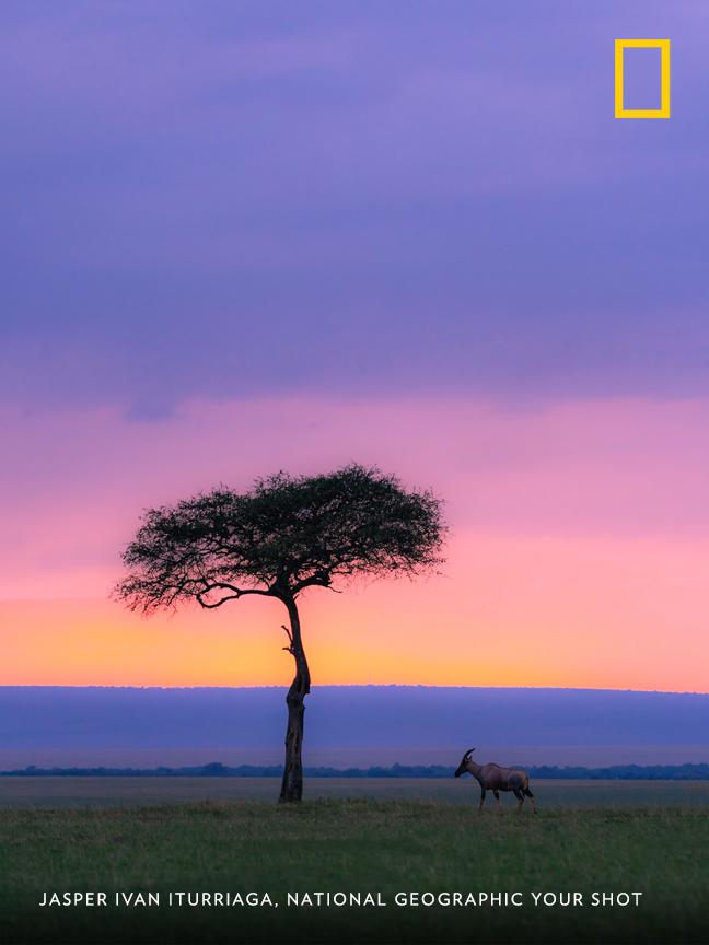 NatGeo tweet picture