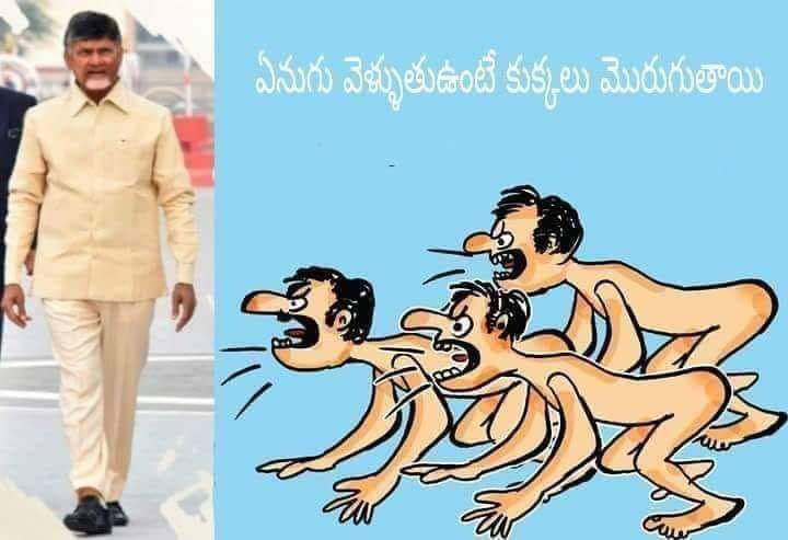 raoktm090's tweet photo. నాకు తెలిసి మన భారత దేశం లోనే ఒక సీఎం హోదా లో ఉండి అంత చిల్లర భాష వాడే నాయకుడు #KCR మాత్రమే. #KCRRejected #NoBodyCaresKCRInCentral #KCRVsCBN #ncbn #NCBNForAP #BeWithBabu #APWithCBN #ChandrababuNaidu @ncbn @AndhraPradeshCM @naralokesh @JaiTDP @trspartyonline @TelanganaCMO #TDP https://t.co/Erp7bVQG9I