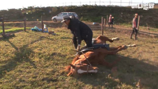 Horse acting dead when someone tries to ride on it masjmzs.com//index/xvideo/…