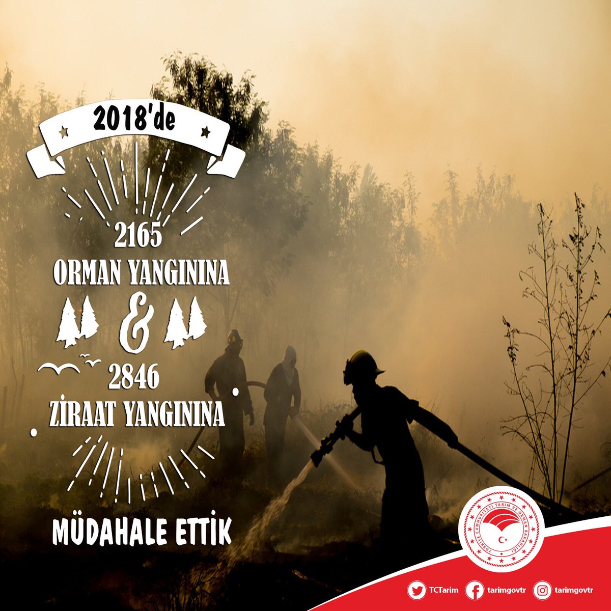 TCTarim's tweet photo. Yangınlarla mücadelemizi kararlı bir şekilde sürdürüyoruz. Ülkemizin akciğerlerini koruyoruz. https://t.co/8aAeXeEyoS
