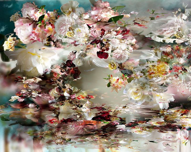 ramblingsloa's tweet photo. The best and most beautiful things in the world
Cannot be seen or even touched.
They must be felt with the heart.

Helen Keller
Pic Isabelle Menin https://t.co/48i2YLHZA9