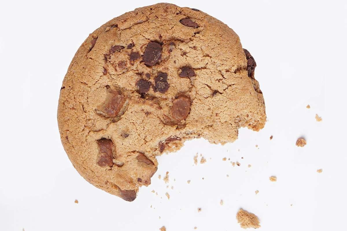 newscientist's tweet photo. 2019 Preview: Experimental vaccine could let coeliacs eat gluten https://t.co/DzxpBy2Fnj https://t.co/PHzLGAH9aB