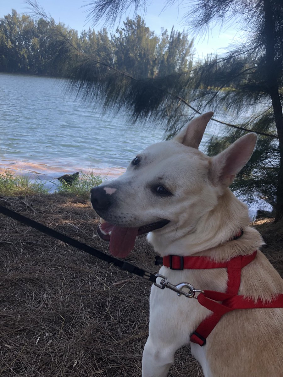 Anna Pesantes tweet media