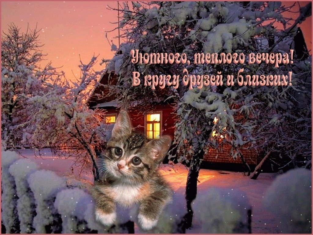 Уютного вечера милый картинки с надписями