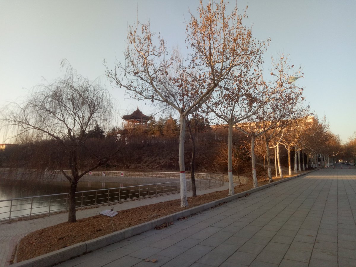 taegerl ❤️ Memecoin (@lujinnan) on Twitter photo 