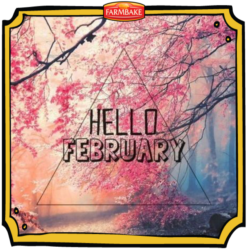 FarmbakeIreland's tweet photo. #HelloFebruary  #Springtime Well we are certainly looking forward to come brighter,  longer, and warmer days! #Stbrigidsday #Spring https://t.co/cnKa6olHi4