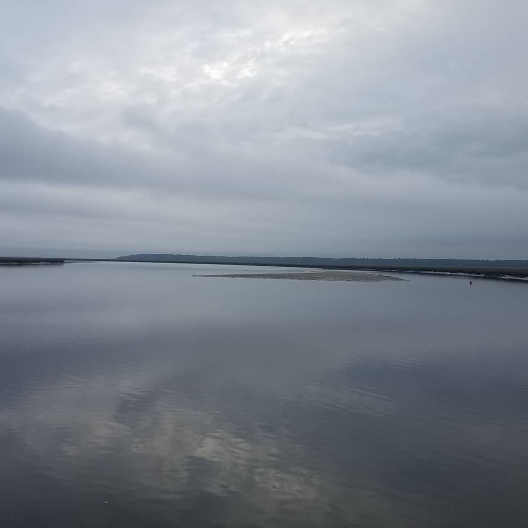 wcsSHSrt's tweet photo. "For whatever we lose (like a you or a me), it's always our self we find in the sea." -EE Cummings https://t.co/72Op3jnrkk