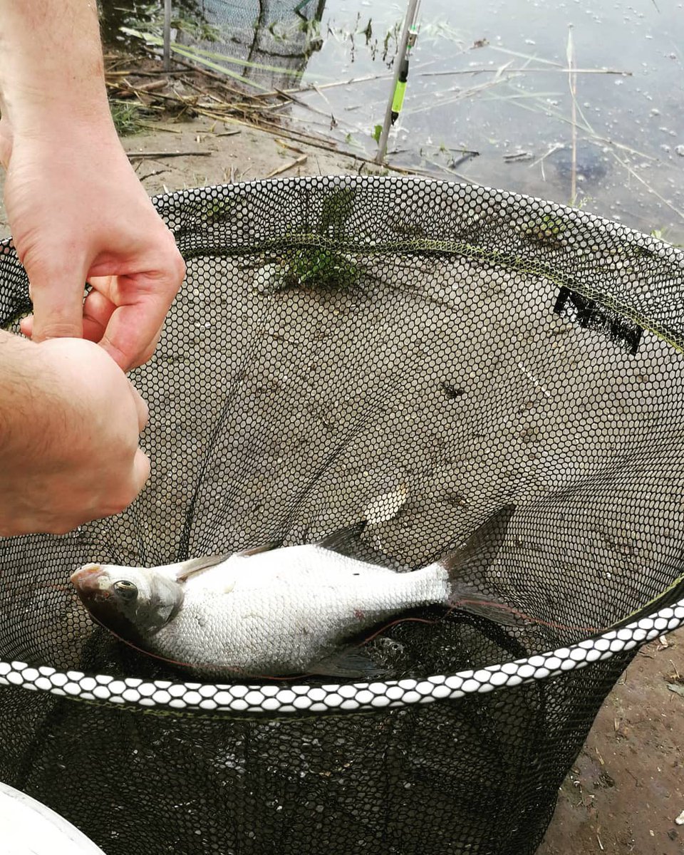 LabaCope's tweet photo. Sveiciens visiem makšķerniekiem un makšķerniecēm brīvdienās!! Kurš ir gatavs copei?
🎣
Ne asakas! ☀️ #labacope #feederfishing #fishingday https://t.co/besjv4hk1f