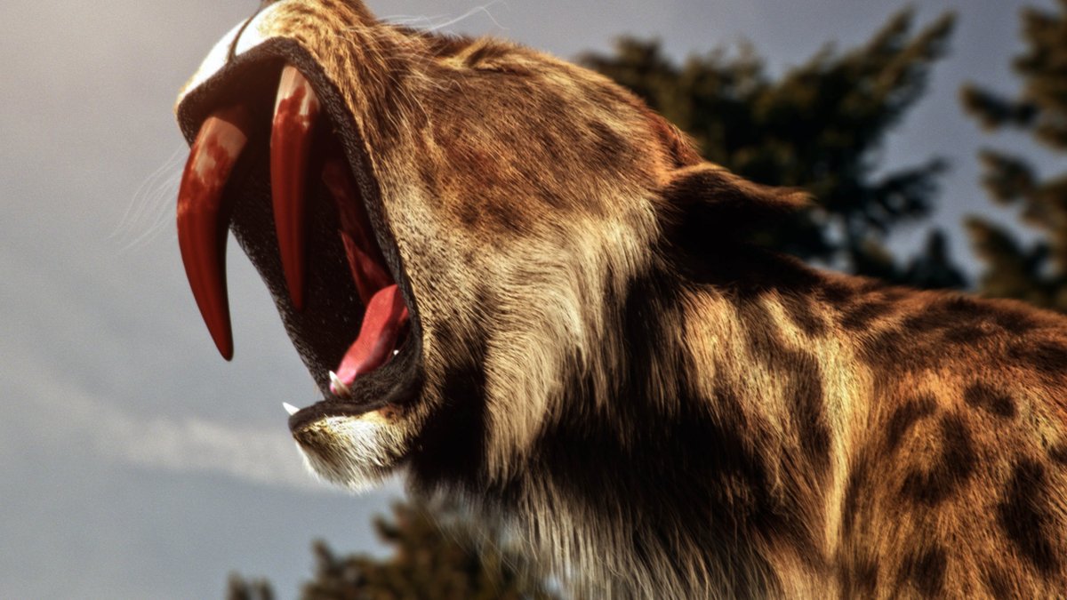 top 10 apex predators top 10 apex predators