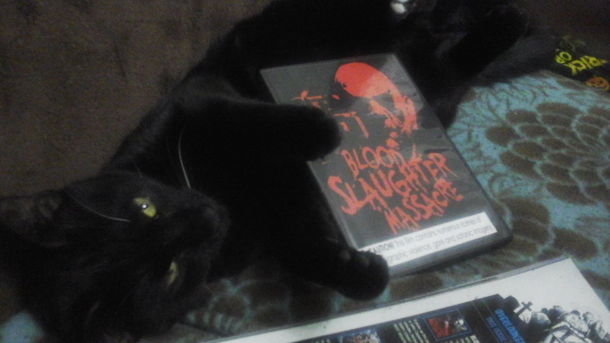TheCatMalice's tweet photo. Are mew a horror fan? Mew could be watching Blood Slaughter Massacre free right now on Prime Video. ~Malice #bloodslaughtermassacre #massgravepictures #supportindependenthorror https://t.co/a8QBnXKDdt