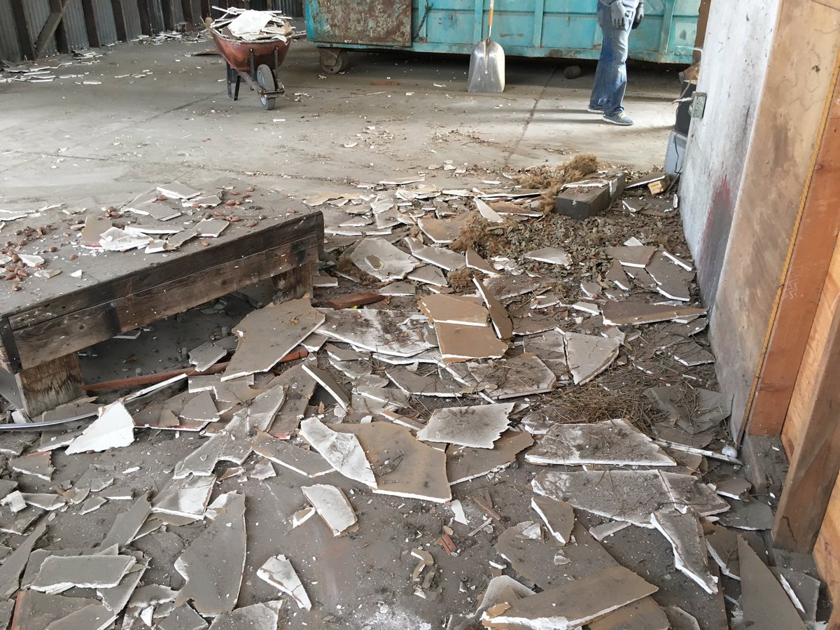 CalCoastBeer's tweet photo. Our first priority was to restore this building. It took DAYS to remove the drywall AND nails. Who knew that underneath all that drywall we would find these amazing wood beams? The first of many surprises as we got to work 😉 #calcoastbeer #lifeisgoodouthere https://t.co/IfiMeW9f9O