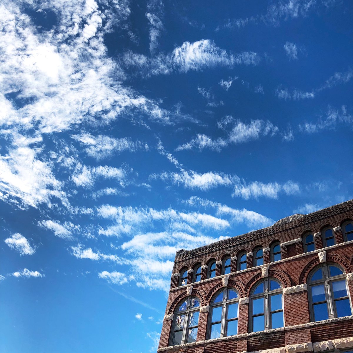 KnoxWeekend's tweet image. Get out and look up! 🚶🏽‍♀️🚶🏾‍♂️ #KDUB #naturalbeauty ☀️