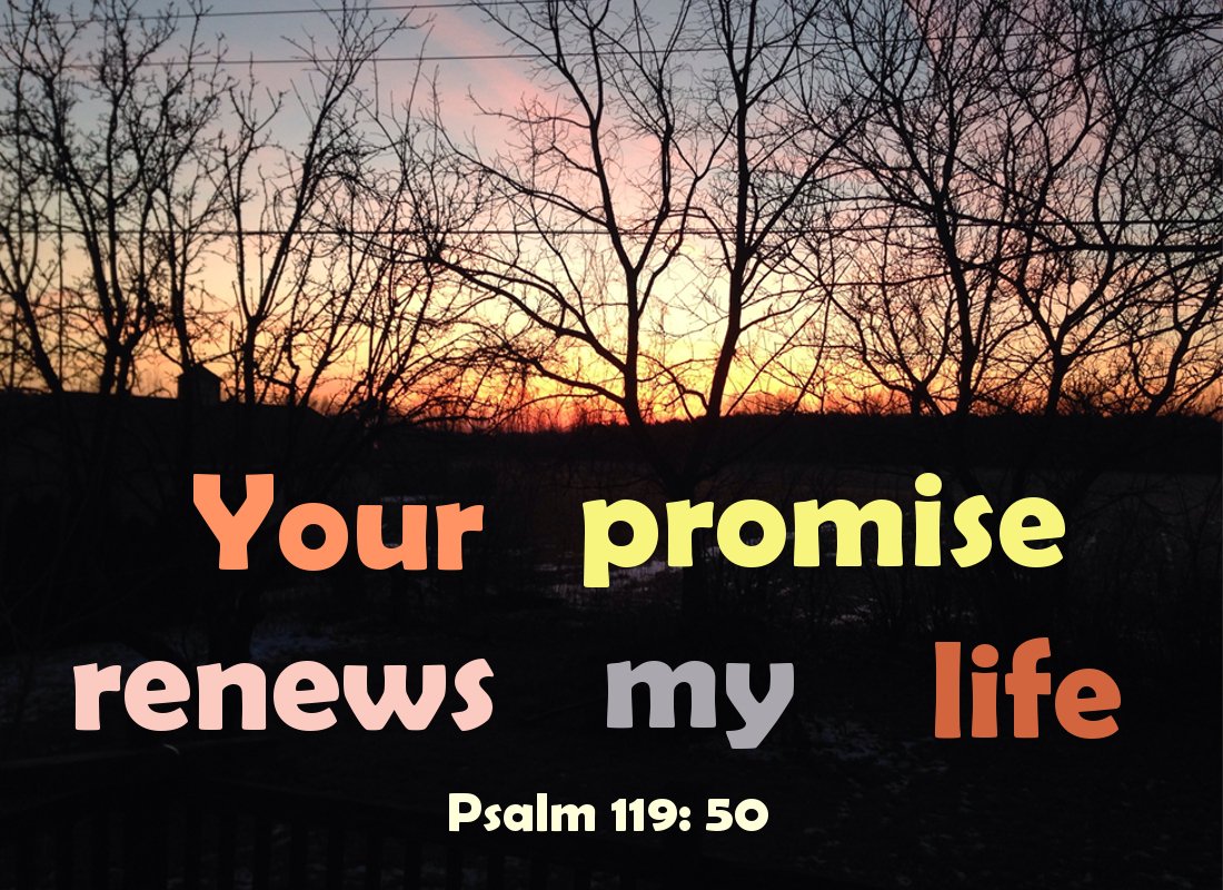 gourdonville's tweet image. The Only Promise Keeper - #GodTheFather #JesusChrist #BlessedTrinity #BibleStudy #Eternity #heaven #NewYear #NewYearsResolutions #bibleverse #JesusSaves 
ow.ly/9roH30n8DEa