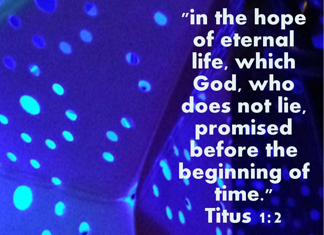 gourdonville's tweet image. The Only Promise Keeper - #GodTheFather #JesusChrist #BlessedTrinity #BibleStudy #Eternity #heaven #NewYear #NewYearsResolutions #bibleverse #JesusSaves 
ow.ly/9roH30n8DEa