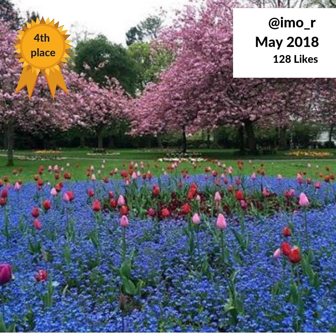 PositiveSwindon's tweet photo. Head on over to our #we_are_swindon #instagram page to see all our #TopNine2018 #BestOf2018 #swindon https://t.co/rWGCrfMht8