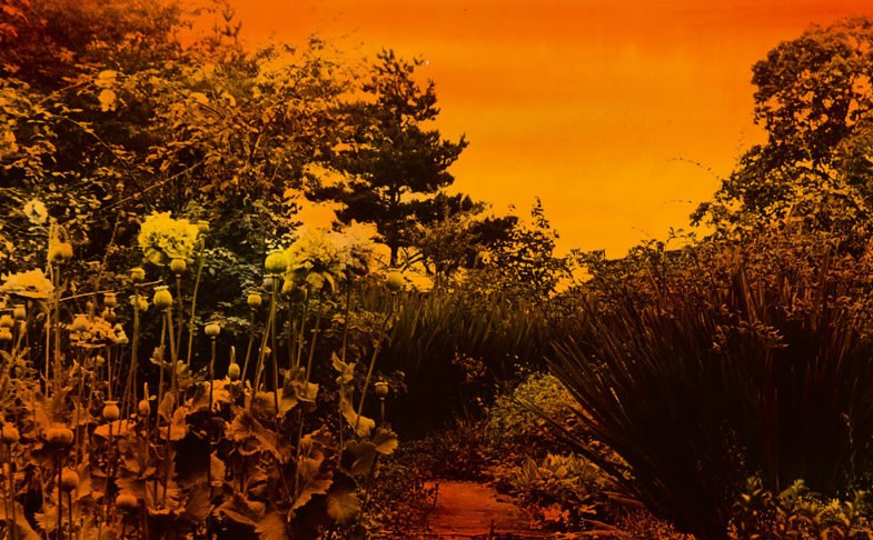 creativetourist's tweet photo. ART: Taken at his home in rural Cumbria, this captivating series of hand-coloured photographs @WhitworthArt offers a rare glimpse into the world of the enigmatic Chinese artist Li Yuan Chia
https://t.co/Gu6tXFRscE https://t.co/IlFA5MK0Gt