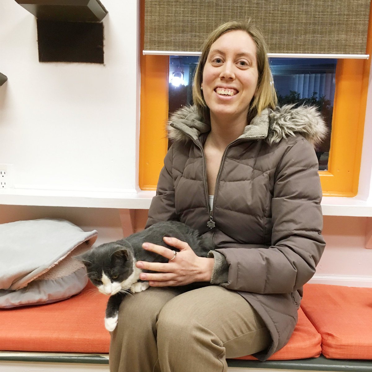 MewHaven's tweet photo. Adoption #48! Anne is the ultimate lapcat. Everyone felt special when Princess Anne chose their lap to nap on. She was both playful and cuddly, and it's no surprise that she quickly found her forever home. What a perfect way to end 2018. We'll miss you, Anne! #adoptdontshop https://t.co/KFlUkx9QV9