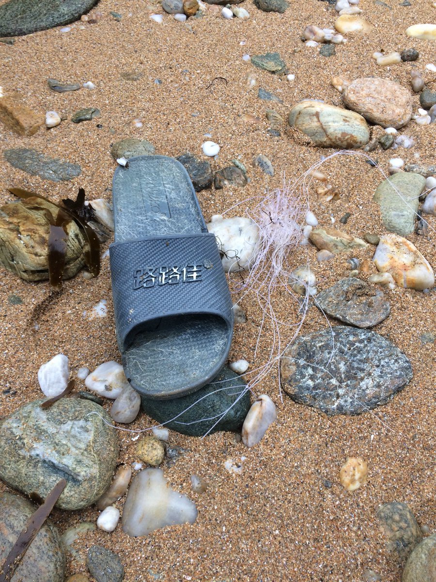 CCarnoet's tweet photo. ramassage d’aujourd’hui à #cloharscarnoet #finistere #Bretagne #2minutebeachclean #plasticpollution #ECOnetizens #dechetsmarins #beachcleaners #beatplasticpollution #1walk1waste #1ballade1dechet #nettoyagedeplage #pêche https://t.co/cymO6JQSSo