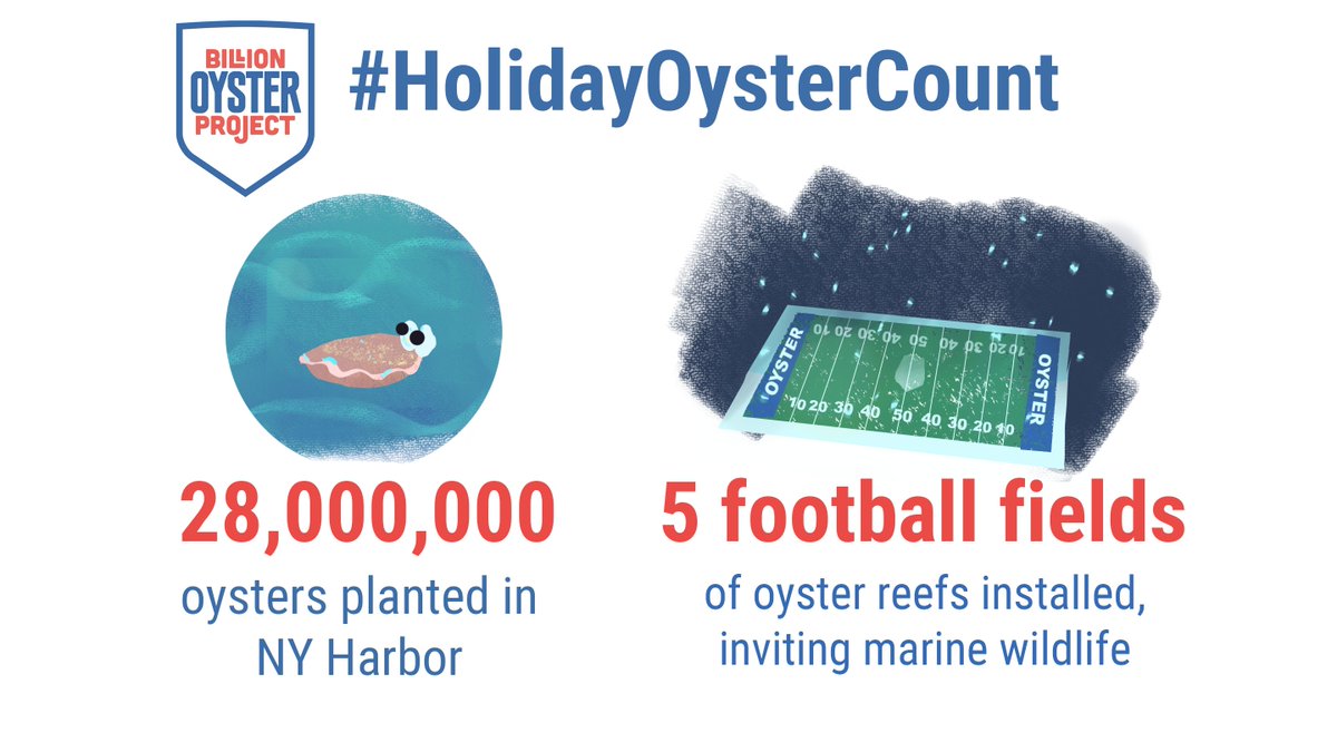 We now have 5 football fields worth of oyster reefs installed in NY Harbor. 🌊 Give today to help us do more! Your gift will be doubled, for a limited time, thanks to the generosity of our Board of Directors. bit.ly/bopgive18