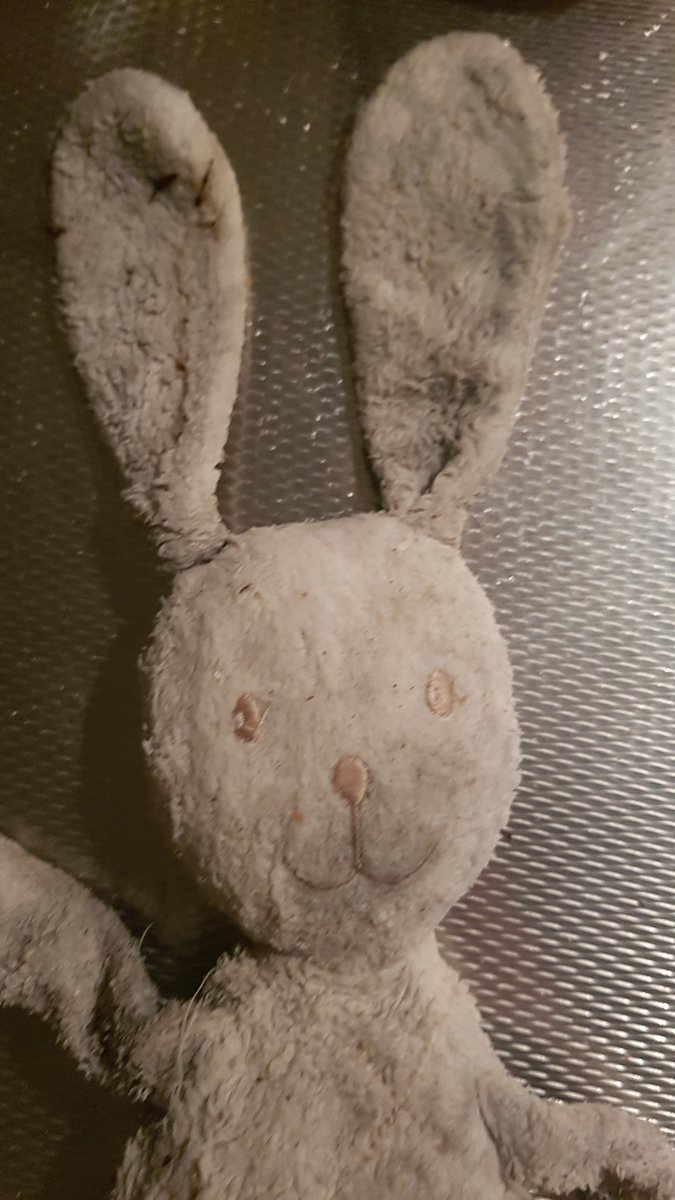 Gevonden! Een schattig haasje ter hoogte van Hillebrug/ Polderlaan/ Hillevliet. Ziet eruit alsof er flink van gehouden wordt, RT is lief! #knuffel #verloren #Rotterdam 
<a href="/POL_Feijenoord/">Politie Basisteam Feijenoord</a> @Politie_Rdam <a href="/Bloemhof_/">Bloemhof</a> <a href="/Hillesluis_Nu/">Like je Wijk Hillesluis</a> <a href="/TijsNederveen/">Stadsmarinier aanpak Schulden</a> @Pol_Keijzer <a href="/RDStad/">AD Rotterdams Dagblad</a> <a href="/Havenloods/">Havenloods</a>