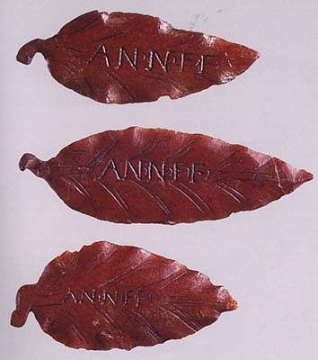 ticiaverveer's tweet image. Delicate Roman laurel leaves (Aquileia), carved from amber, with inscription: AN(num) N(ovum) F(austum) F(elicem).
The wish of a happy and a prosperous new year 
pb.info.pl/archiwum/artyk…