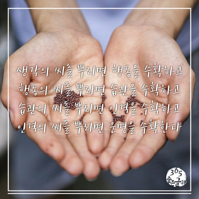 ★한줄 명언★

생각의 씨를 뿌리면 행동을 수확하고
행동의 씨를 뿌리면 습관을 수확하고
습관의 씨를 뿌리면 인격을 수확하고
인격의 씨를 뿌리면 운명을 수확한다
.
bit.ly/2VgAWql
.
#명언 #어록 #한줄명언 #명언모음
#인생명언 #짧은명언 #동기부여
#자기계발 #좋은글 #좋은글귀
#명언글