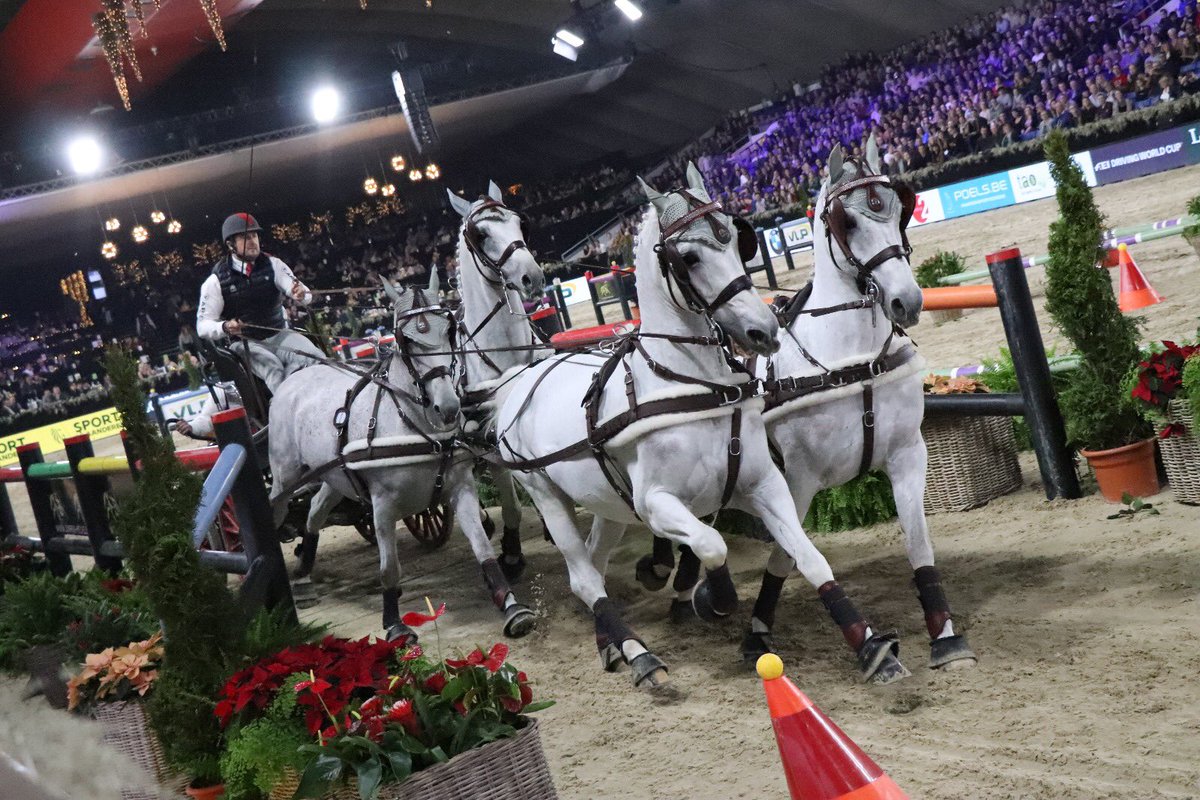 🎉That's a wrap. Jumping Mechelen edition 2018 finished with the victory of 🥇Boyd Exell in the FEI Driving Word Cup presented by VLP.
🥈 Bram Chardon
🥉 Chester Weber

#jumpingmechelen #driving #worldcup @BoydExell <a href="/FEI_Global/">The FEI</a>