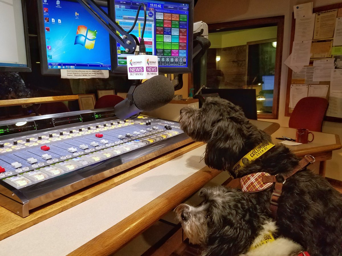 TanaWeingartner's tweet photo. Took my nephews Ori and Gryffindor to visit some of my favorite spots in Over-the-Rhine today. #NationalPuplicRadio #DogsOfNPR #NPRLife https://t.co/Jx7VzI9A49