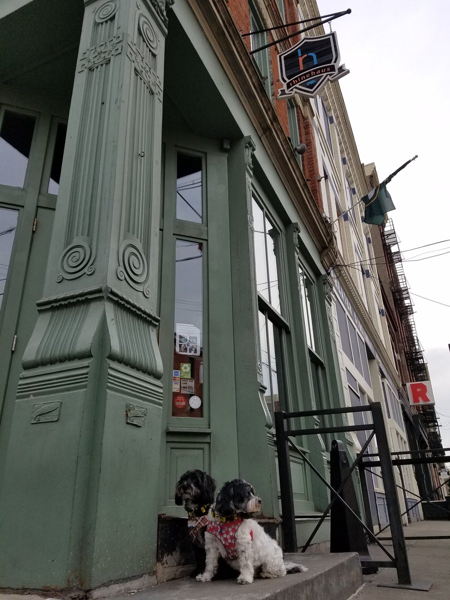 TanaWeingartner's tweet photo. Took my nephews Ori and Gryffindor to visit some of my favorite spots in Over-the-Rhine today. #NationalPuplicRadio #DogsOfNPR #NPRLife https://t.co/Jx7VzI9A49