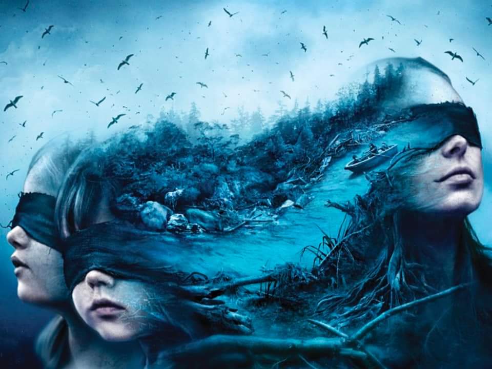 1Take_Trejo's tweet photo. This is exactly the perfect explanation!!! #birdbox https://t.co/i7IzoK4jlO