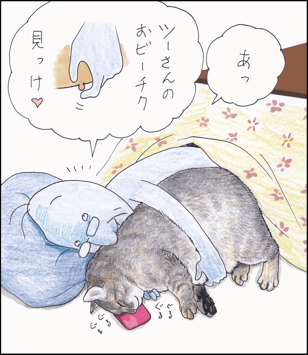 や、どうも。みなさま、おしょうがつにのみすぎて、わしのようなたそがれりゅうせいデブにならんようにな、グハッ。っておじいちゃんが。おおきなおせわだよね!というわけで、らいねんもよろしくですよ。