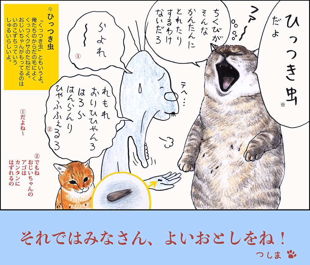 や、どうも。みなさま、おしょうがつにのみすぎて、わしのようなたそがれりゅうせいデブにならんようにな、グハッ。っておじいちゃんが。おおきなおせわだよね!というわけで、らいねんもよろしくですよ。