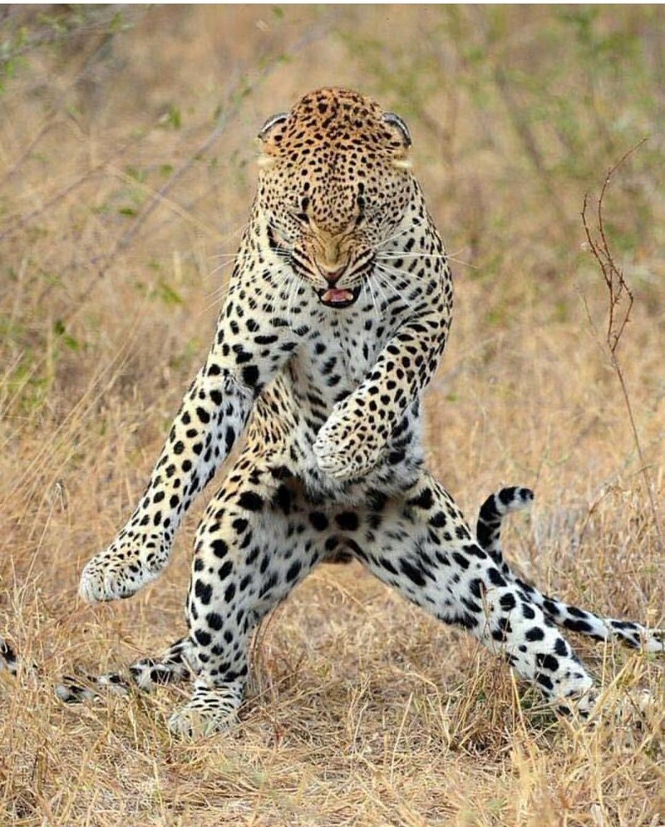 ThatDamnIKE's tweet photo. Y'all out here talking that New Year, New me shit while I'm out here trying to learn those Fortnite Dances the kids do.
#fortnite #newyearnewme #bustamove #changeforwhat #imgettingtooldforthis https://t.co/F0aP8vGsrB