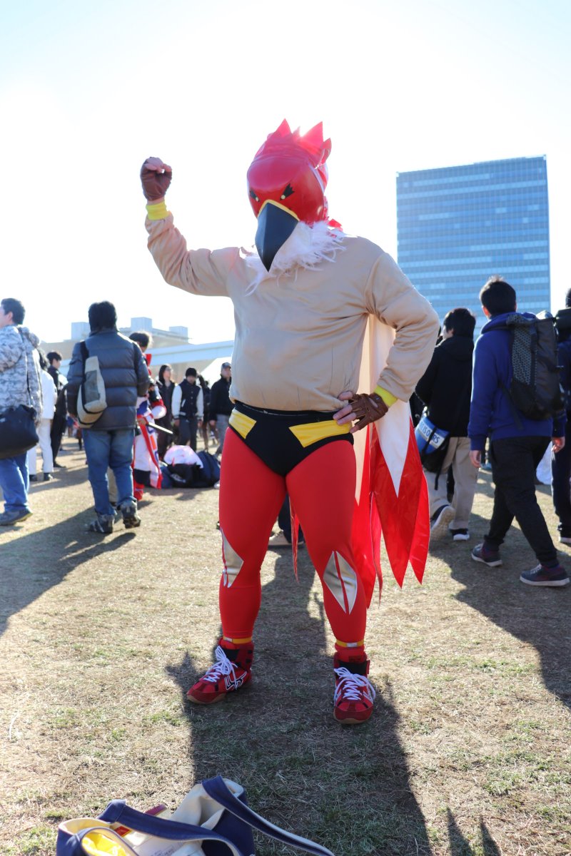 ミスター ゴージャス 2 13 22舞台観劇 2 28 3 7個人撮影会 冬コミ C95コスプレ Kof 二日目は鳥のプロレスラー Kof03のグリフォンマスクで参加しました お声掛けされた方に撮影依頼 防災公園にて撮影 無敵で行くぞ
