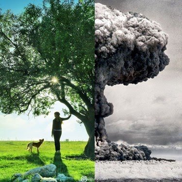 Peace or violence? #2019