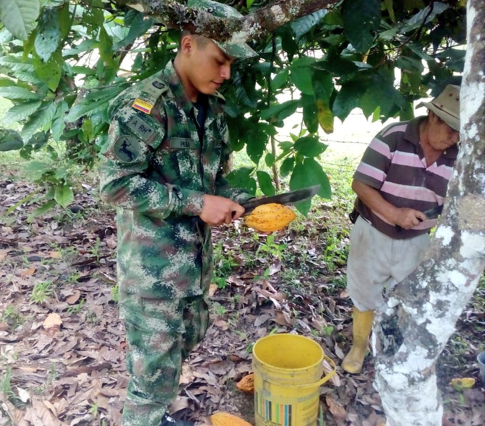 Ejercito_Div4's tweet photo. #SoldadosHorus del #Batallón21Vargas de la #SéptimaBrigada, recogen la cosecha de cacao, en la vereda Alto Cafre, Mi #VeredaModelo del departamento del #Meta, contribuyendo a los pequeños y medianos productores de la región del Ariari, porque #HorusEsProgreso🇨🇴 https://t.co/XuFbaTegdP