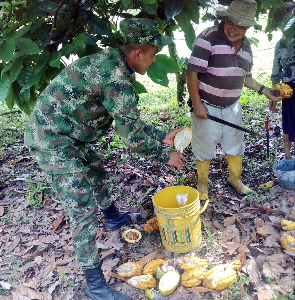 Ejercito_Div4's tweet photo. #SoldadosHorus del #Batallón21Vargas de la #SéptimaBrigada, recogen la cosecha de cacao, en la vereda Alto Cafre, Mi #VeredaModelo del departamento del #Meta, contribuyendo a los pequeños y medianos productores de la región del Ariari, porque #HorusEsProgreso🇨🇴 https://t.co/XuFbaTegdP