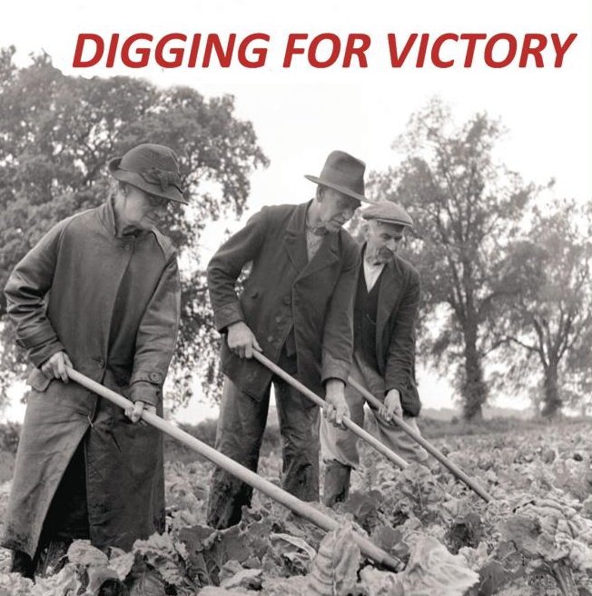 analoguearty's tweet photo. If you're wondering what the Analogue Collective has been doing recently, the answer is nothing since St Petrocks in May. However, many of us will be showing in the Digging for Victory exhibition at TAAG in Teignmouth during w/c 23rd February 2019. Hope to see you there ... https://t.co/1AhvESZkTg