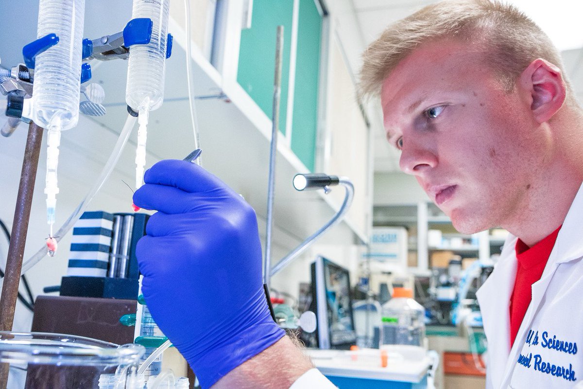WVUFoundation's tweet photo. Your end-of-year charitable giving is important to @WestVirginiaU.  Help us stay at the forefront of entrepreneurship and innovation, healthcare and leadership development. Donate today at https://t.co/WY2ZF950vE. Thank you for your support and Happy New Year! #WVU https://t.co/MnRngsy7Qf