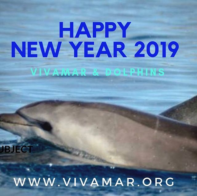 #vivamar #dolphinconservation #volunteer #marinevolunteers bit.ly/2SsfiOb